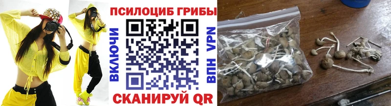 Галлюциногенные грибы Magic Shrooms  Светлоград 